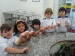 Clique para aumentar