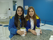 As mudas de alface foram replantadas em garrafas PET