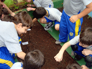 Alunos plantam alface, cenoura e salsinha em aula