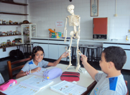Os alunos comprovaram a presena de clcio e colgeno nos ossos da experincia.