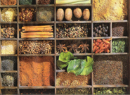 Manusear,sentir os aromas e conhecer as funes das especiarias.