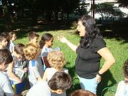Em aula interativa, alunos estudam espcies vegetais na Praa dos Meninos