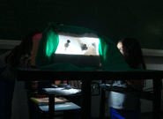 Apresentao do teatro de sombras do 4A