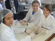 Turmas aprovaram a iniciativa e se divertiram no laboratrio